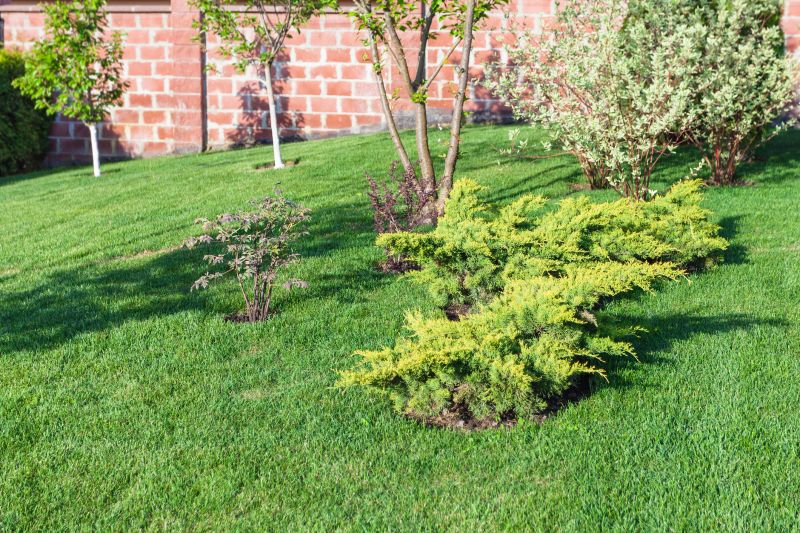 Professional Landscape Contractors